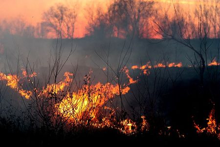 International Day for Disaster Reduction