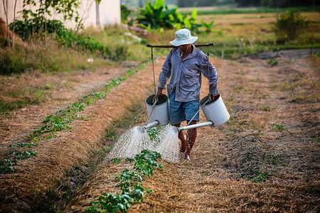 National Farmers Day