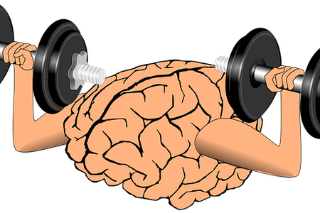 National Train Your Brain Day